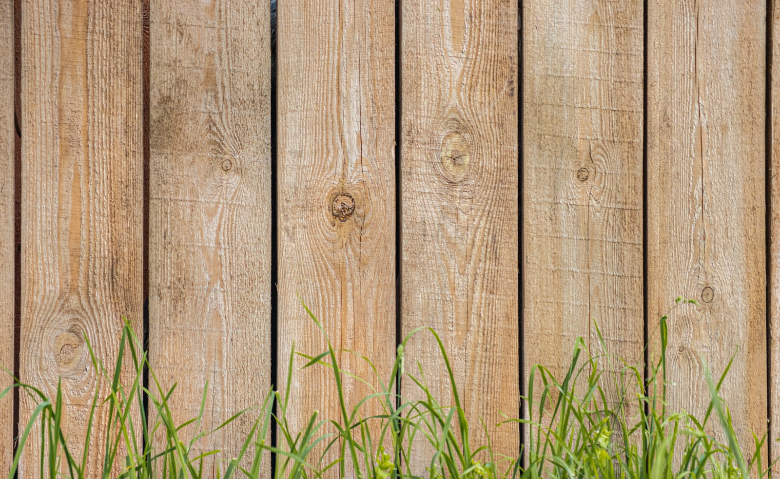 Photo d'un mur en bois, ravalement de façade